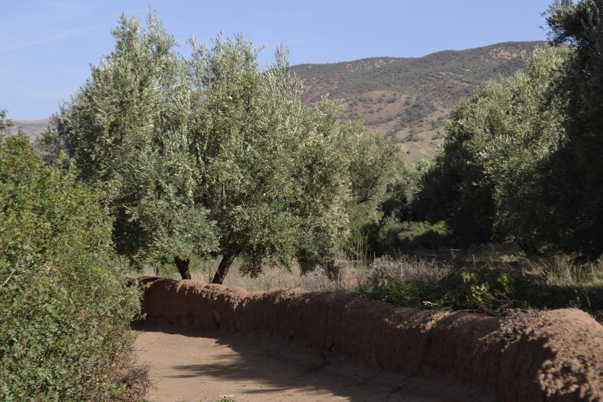Villa Quince Ouirgane Kültér fotó